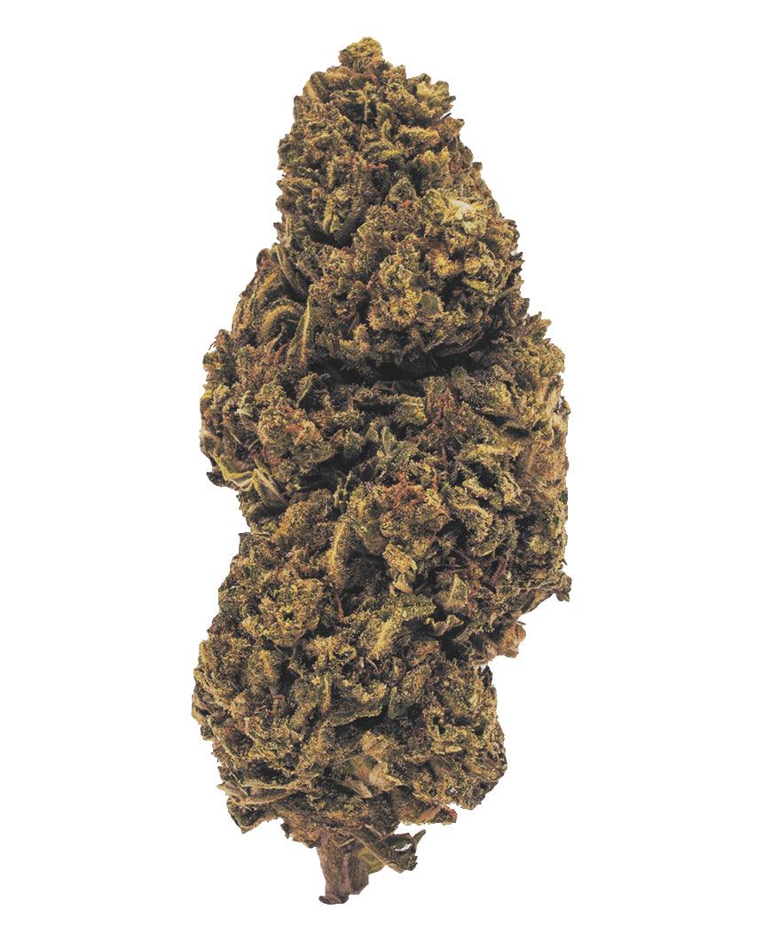 Genesi 2.0 x 5g - Weeds Store Official Cannabis light & CBD legal weed