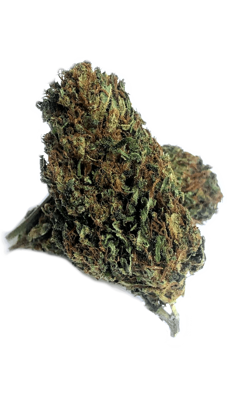 Super Lemon Haze x 1,5g - Weeds Store Official Cannabis light & CBD legal weed