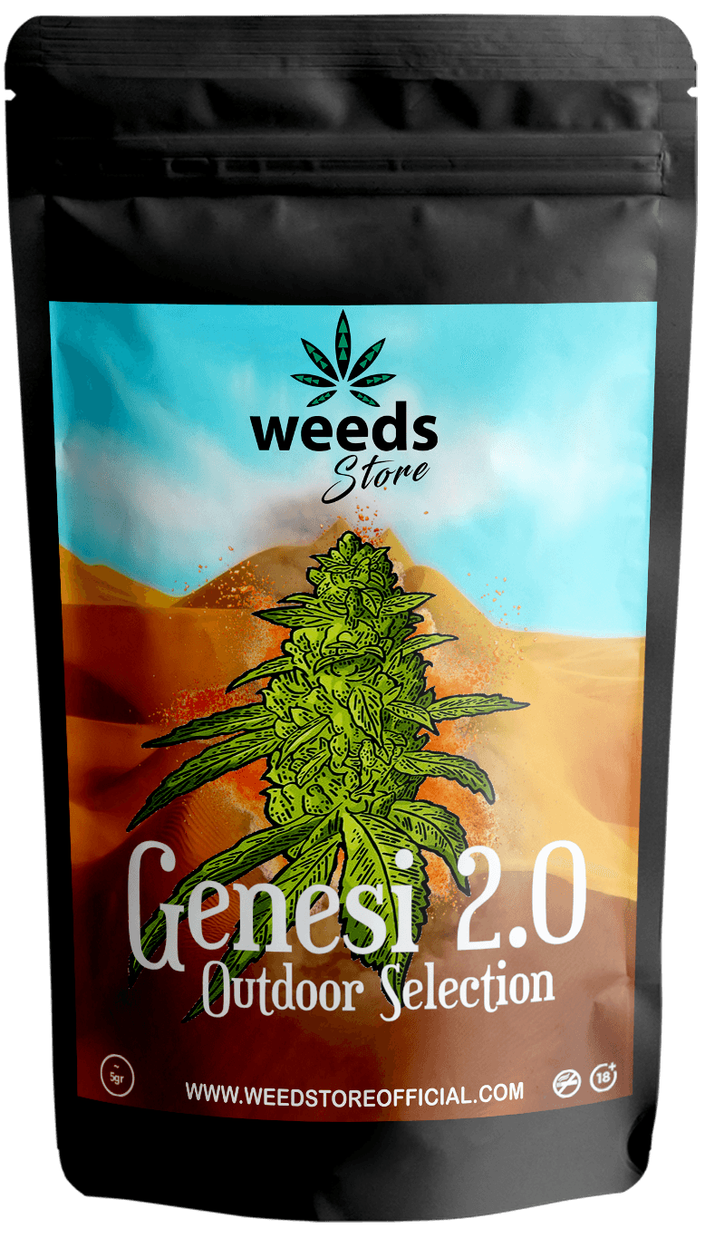 Genesi 2.0 x 5g - Weeds Store Official Cannabis light & CBD legal weed