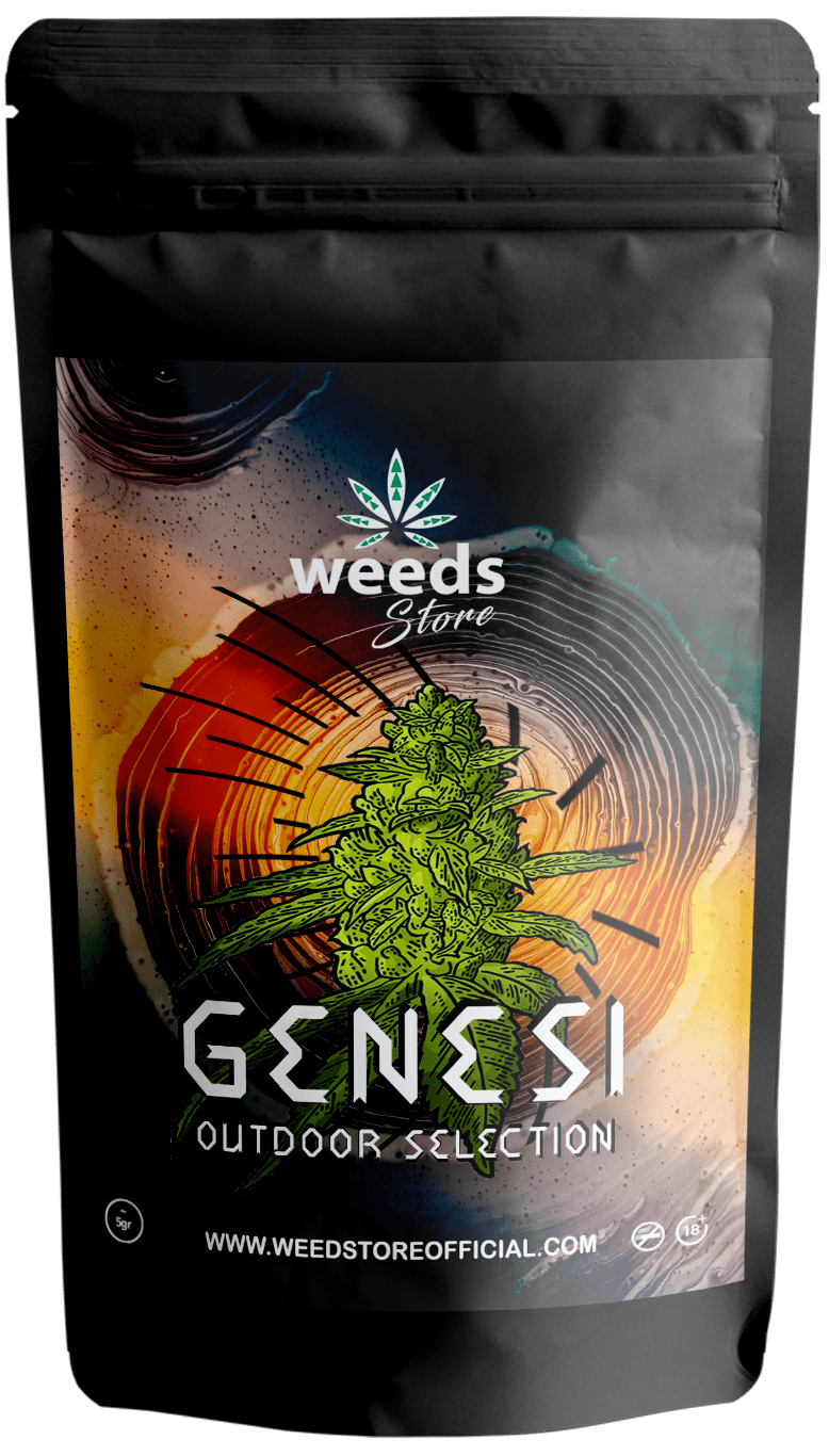 Genesi x 5 g - Weeds Store