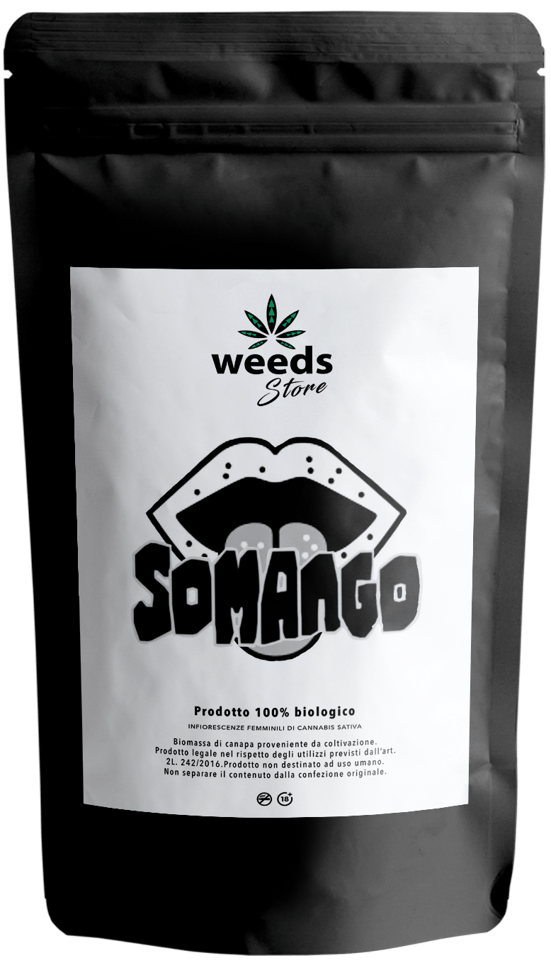 Somango x 1,5 g - Weeds Store