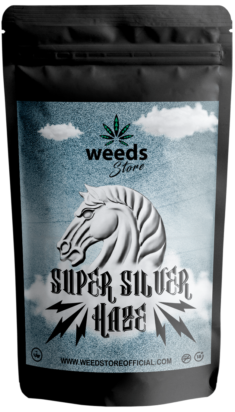 Super Silver Haze x 1,5 g - Weeds Store